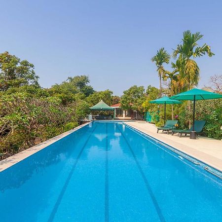 Stayvista'S Casa Palmera - Pet-Friendly Villa With Pool, Garden With Gazebo, And Indoor & Outdoor Games Alībāg Extérieur photo