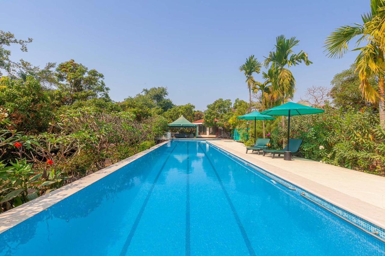 Stayvista'S Casa Palmera - Pet-Friendly Villa With Pool, Garden With Gazebo, And Indoor & Outdoor Games Alībāg Extérieur photo