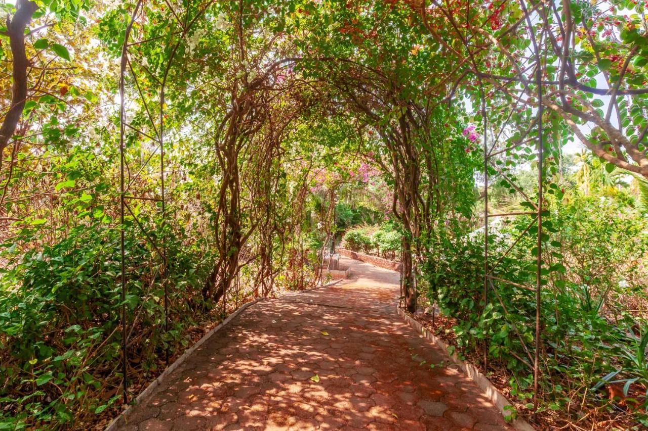 Stayvista'S Casa Palmera - Pet-Friendly Villa With Pool, Garden With Gazebo, And Indoor & Outdoor Games Alībāg Extérieur photo