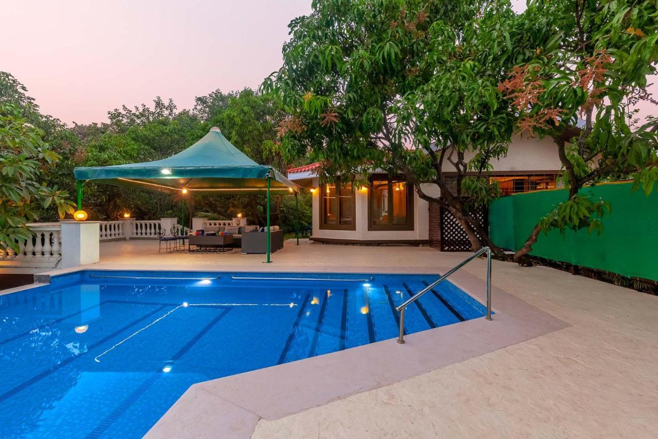 Stayvista'S Casa Palmera - Pet-Friendly Villa With Pool, Garden With Gazebo, And Indoor & Outdoor Games Alībāg Extérieur photo